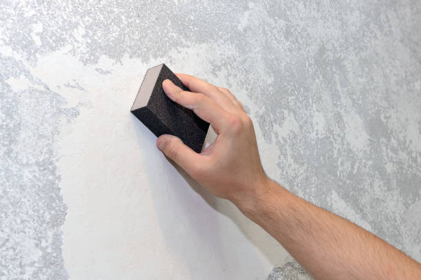 Best Attic Mold Removal  in Horn Lake, MS