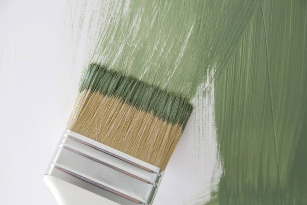 Mold Remediation for Rental Properties in Horn Lake, MS