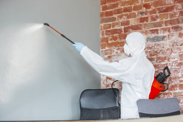 Best Mold Documentation for Insurance Claims  in Horn Lake, MS