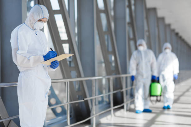 Best Emergency Mold Remediation  in Horn Lake, MS