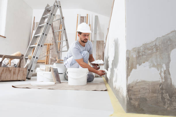 Best HVAC Mold Inspection and Cleaning  in Horn Lake, MS