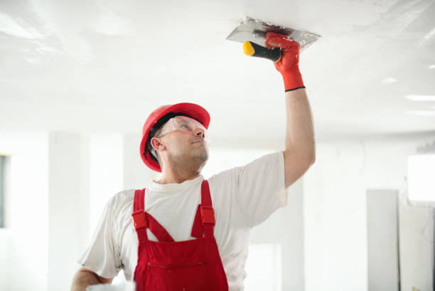Best Mold Odor Removal Services  in Horn Lake, MS