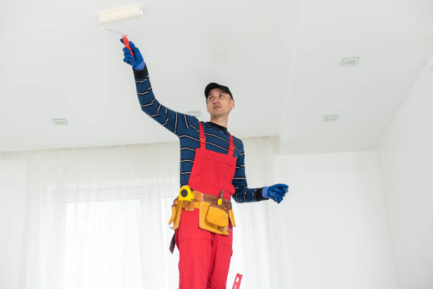 Best Crawl Space Mold Remediation  in Horn Lake, MS