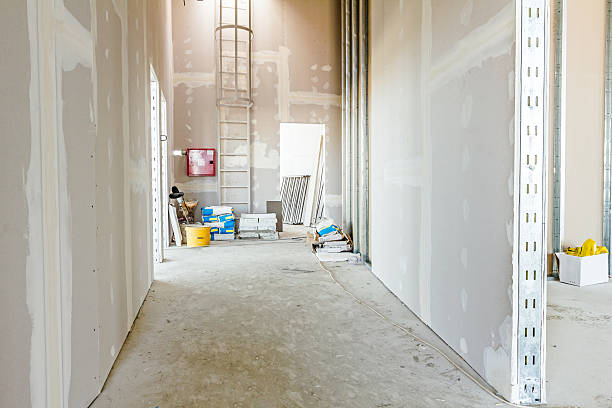 Best Mold Remediation for Healthcare Facilities  in Horn Lake, MS